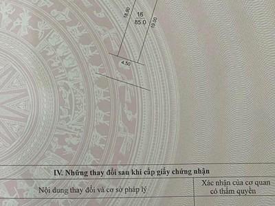 Trung oai, nhật tân lô đẹp đường to kích thước đẹp 3