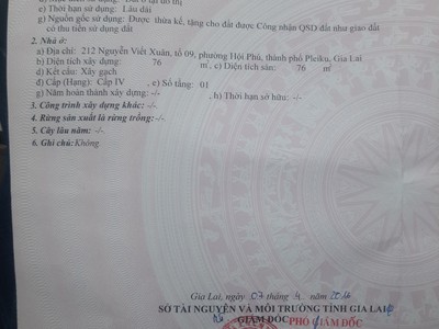Cần tiền giải quyết công việc nên bán gấp nhà nhà cấp 4. mặt tiền nguyễn viết xuân , pleiku, gia lai 4