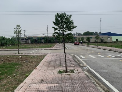 Cơ hội đầu tư khi khu QH50ha huyện quảng xương sắp triển khai 1