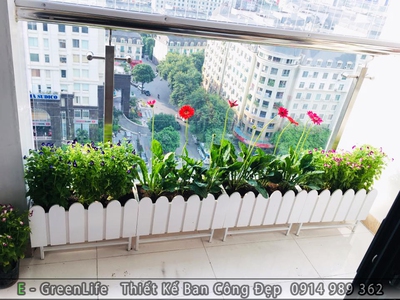 Lựa chọn chậu hàng rào trắng để trang trí ban công 0