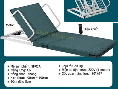 Ghế tựa lưng nâng hạ bằng điện hỗ trợ người lớn tuổi, người bị tai biến, người mới mổ,... 2
