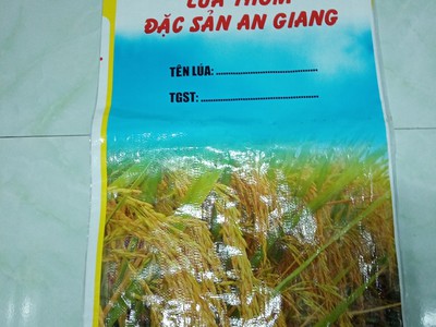 Bao lúa giống 40kg có lồng sẵn nilong 1
