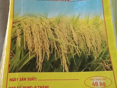 Bao lúa giống 40kg có lồng sẵn nilong 3