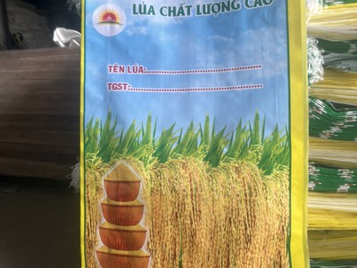 Bao lúa giống 40kg có lồng sẵn nilong 4