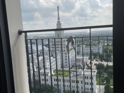 Bán căn góc 3 phòng ngủ Vinhomes Ocean Park, view đại học Vinuni, biển hồ, chỉ 3.23 tỷ 4