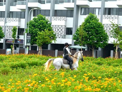 Bán nhà lưu trú thổ cẩm dự án Thành Phố Cà Phê, vận hành kinh doanh được ngay 0