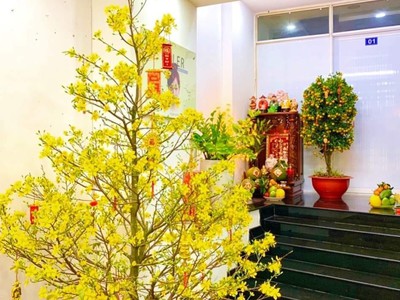 Đẹp đằm thắm - bán nhà - lê hồng phong - q.10 - 6 tầng - hxh 1 trục - 54m2 - 9 t.ỷ 1