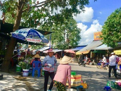 Không thể xoay sở, bán gấp miếng đất khu đô thị Bình Dương, dân đông, gần chợ trường học 5