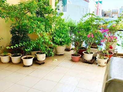 Đẹp đằm thắm - bán nhà - lê hồng phong - q.10 - 6 tầng - hxh 1 trục - 54m2 - 9 t.ỷ 4