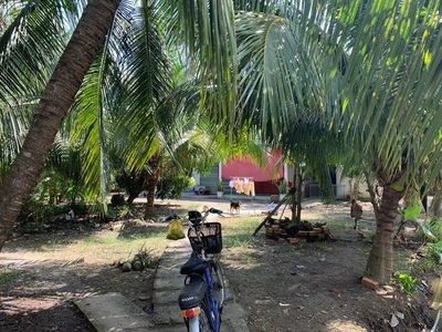 Chính chủ cần bán đất giá rẻ siêu đầu tư.ấp phước thới, xã an phước 0