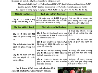 Newland inside - giải pháp tốt cho đất và cây trồng 3