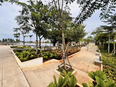 Đất hóc môn, đối diện kdl sinh thái hocmon - 400m2- sổ đẹp chính chủ 2