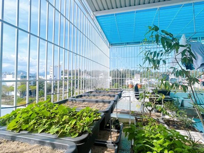 Bán gấp nhà 4 tầng kđt hà quang 2, nằm cạnh trung tâm tp nha trang 4