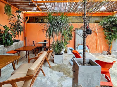 Cho thuê MT 5.8x35m đường Thống Nhất P11 Gò Vấp 1