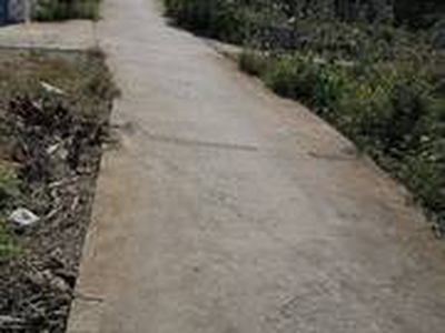 Xả Ngộp thu Hồi Vốn Lô Đất Thổ Mặt Tiền Ấp 4, Mỹ Phú, Thủ Thừa, Long An Giá 499Tr 0