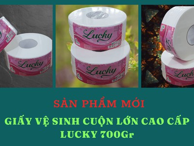 Giấy vệ sinh cuộn lớn 0