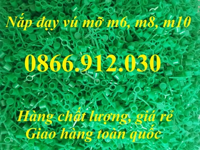 Nắp chụp đầu vú bơm mỡ bò, nắp bịt ốc bơm mỡ bằng nhựa 0