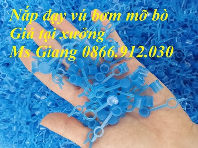 Nắp chụp đầu vú bơm mỡ bò, nắp bịt ốc bơm mỡ bằng nhựa 8