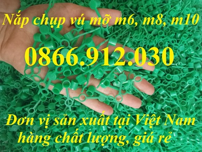 Nắp chụp đầu vú bơm mỡ bò, nắp bịt ốc bơm mỡ bằng nhựa 9