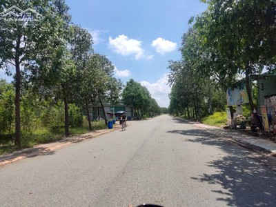 Bán đất khu đô thị mới Bình Dương, sổ hồng, gần chợ, trường học. 3