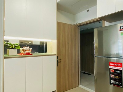Cho thuê căn hộ cao cấp Citi Esto 2pn2wc full nội thất cao cấp giá 9tr 12