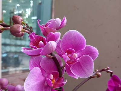 Bán nhà mặt phố quang trung - hà đông - kinh doanh đỉnh cao - 8 tỷ 0