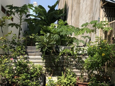 Chủ nhà cần bán đất thổ cư 56.2m2 - đường An Dương Vương - SHR 0