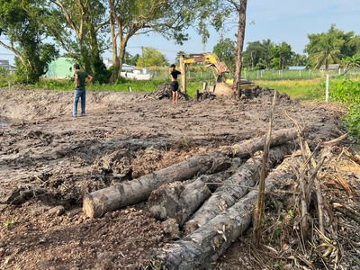Chính chủ cần bán 2316,5m đất trồng cây lâu năm, lên thổ 600k m2 vị trí đẹp châu thành, kiên giang 2