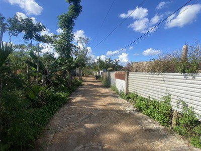 Bán đất 1900m2 chỉ 1ty350 xã hoà thuận tp. buôn ma thuột 4