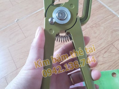 Cung cấp kìm bấm thẻ tai và thẻ tai không số - có số đeo cho dê cừu heo bò trâu hươu... gia súc 8