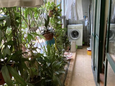 Cho Thuê Tập Thể Ngõ 3 Hoàng Đạo Thành, Thanh Xuân, Hà Nội, sát chợ và tiểu học Kim giang. 4