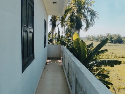 Cho Thuê Nhà sân vườn View lúa Cẩm Kim- Hội An 3