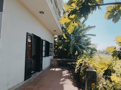Cho Thuê Nhà sân vườn View lúa Cẩm Kim- Hội An 5