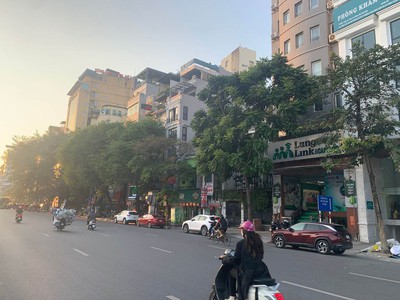 Quần jean True xt usa 1355