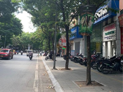 Quần jean True xt usa 420
