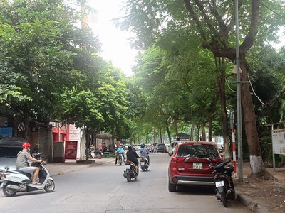 Quần jean True xt usa 1765