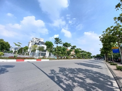 Quần jean True xt usa 824