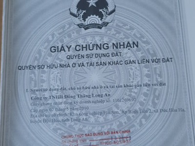 Quần jean True xt usa 1990