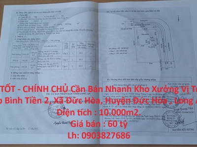 Quần jean True xt usa 1989