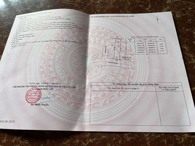 Quần jean True xt usa 1991