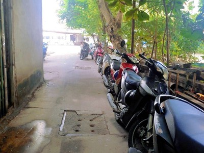 Quần jean True xt usa 4508