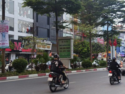 Quần jean True xt usa 3581