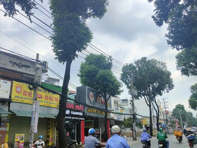 Quần jean True xt usa 2818