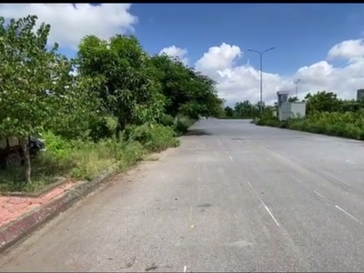 Bán đất TĐC Tràng Cát- Tràng Cát - Hải An- Hải Phòng 7