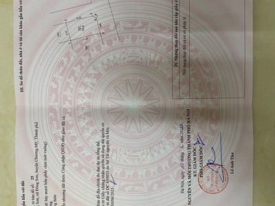 Quần jean True xt usa 4003