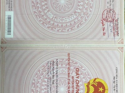 Quần jean True xt usa 3405
