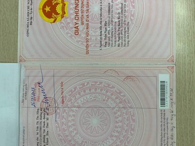 Quần jean True xt usa 3476
