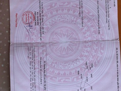 Quần jean True xt usa 3482
