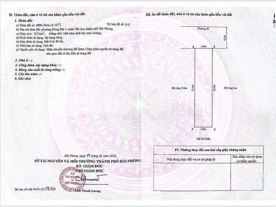 Quần jean True xt usa 3495