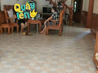 Quần jean True xt usa 3497